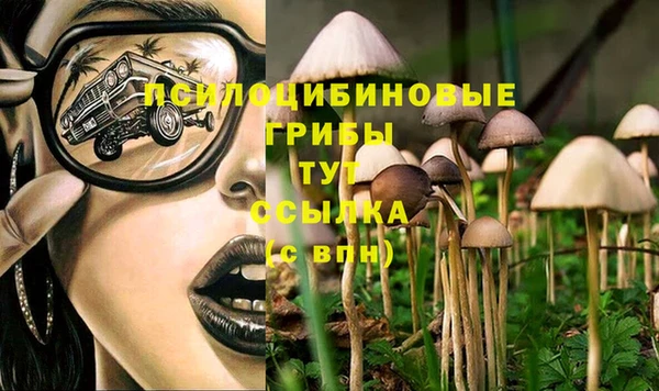 ПСИЛОЦИБИНОВЫЕ ГРИБЫ Навашино