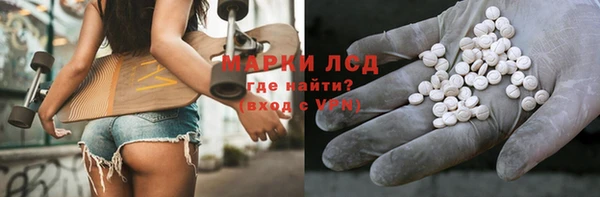 сатива Михайловка
