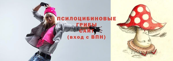 сатива Михайловка