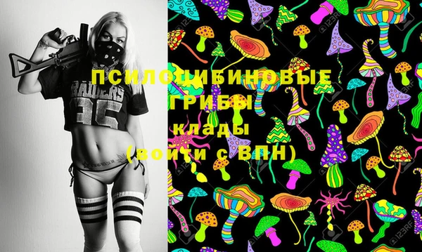 сатива Михайловка