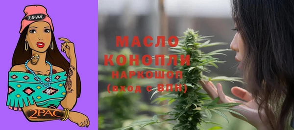 сатива Михайловка