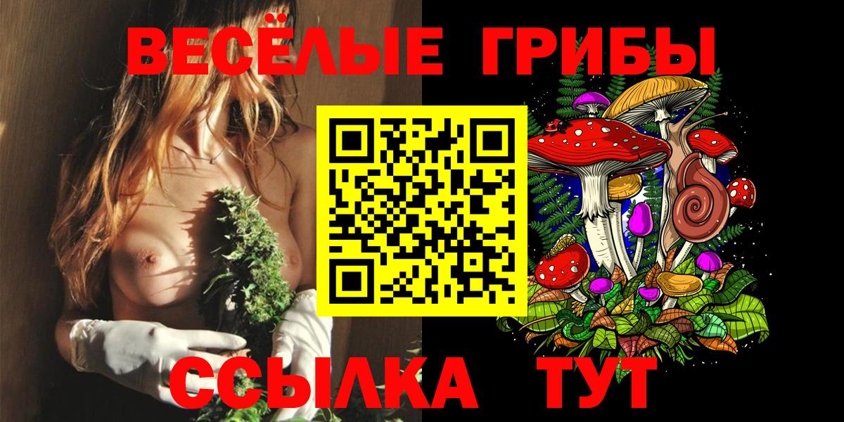Казань  Галлюциногенные грибы Psilocybine cubensis  Вход с VPN 